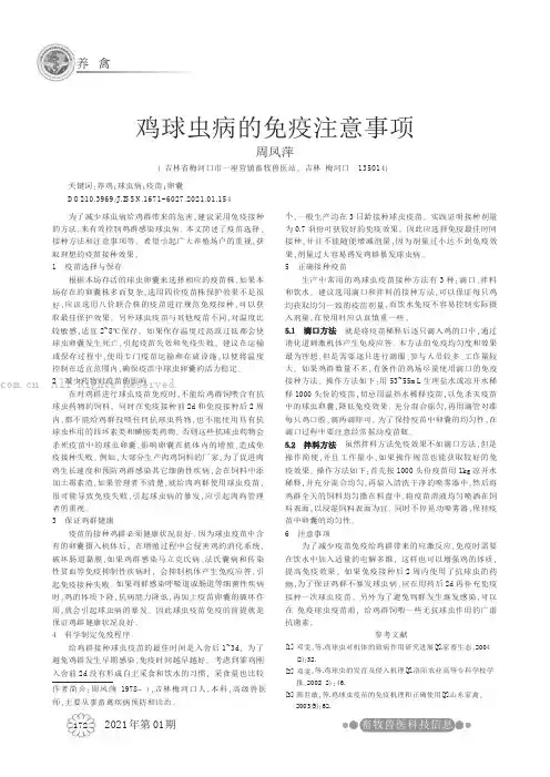 鸡球虫病的免疫注意事项