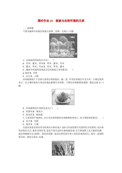 2024版新教材高中地理课时作业14植被与自然环境的关系中图版必修第一册