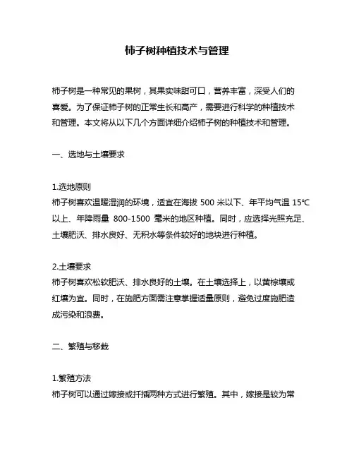 柿子树种植技术与管理