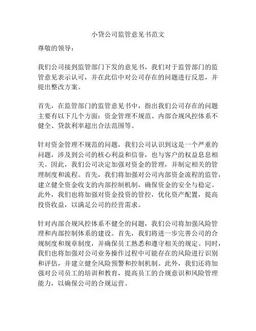 小贷公司监管意见书范文