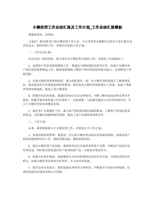 小额信贷工作总结汇报及工作计划_工作总结汇报模板