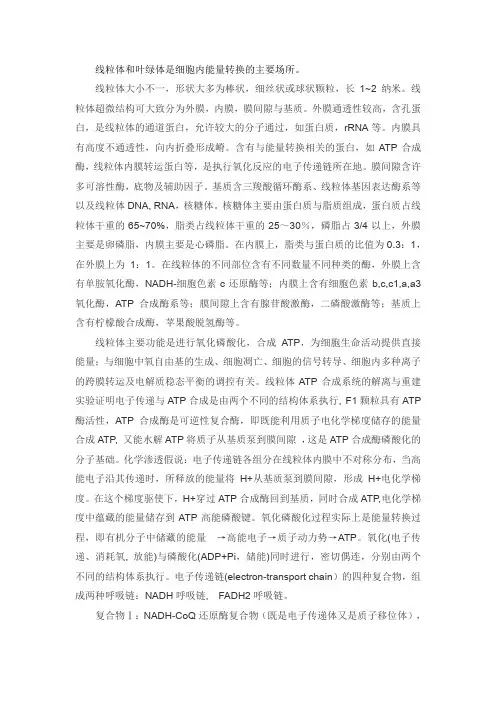 线粒体与叶绿体