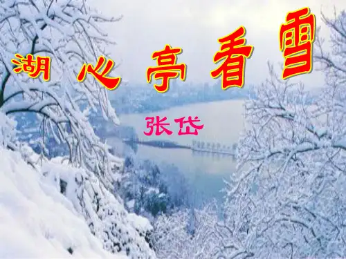 语文八年级下沪教版《湖心亭看雪》课件(4)