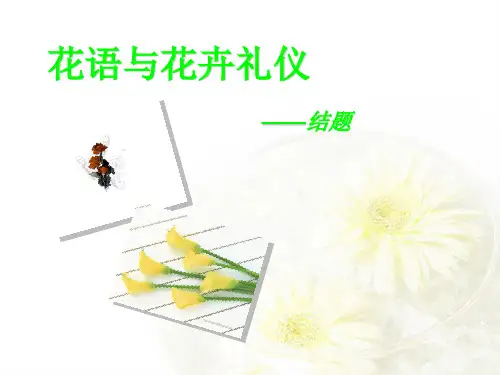 花语与花卉礼仪