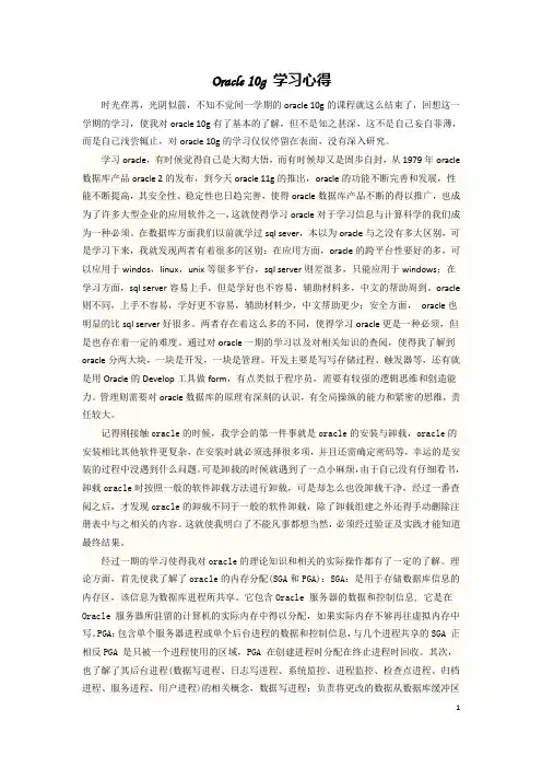 oracle 10g 论文