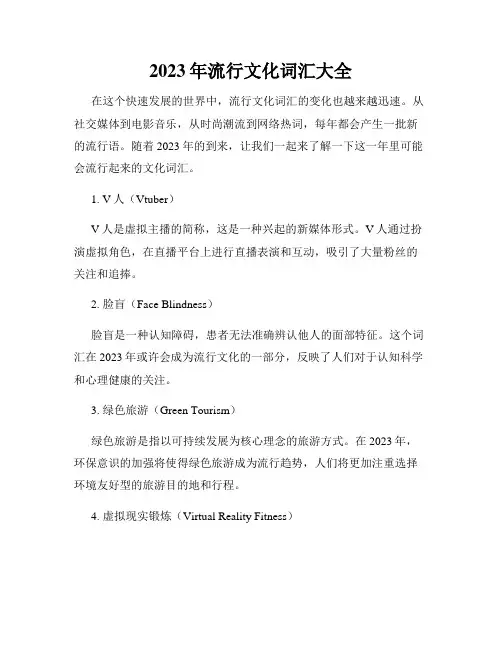 2023年流行文化词汇大全