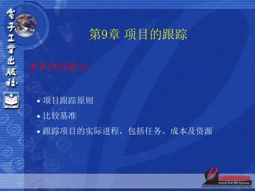 Project教程项目计划与进度的对比
