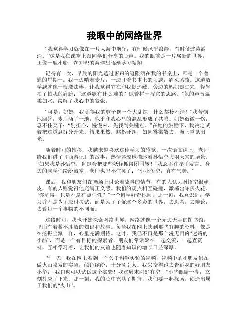 我眼中的网络世界