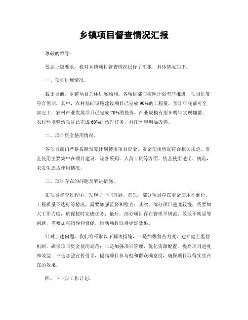 乡镇项目督查情况汇报