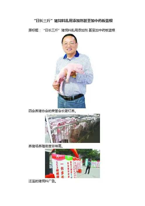 “日长三斤”猪饲料乱用添加剂甚至加中药板蓝根
