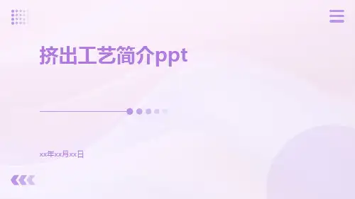 挤出工艺简介ppt