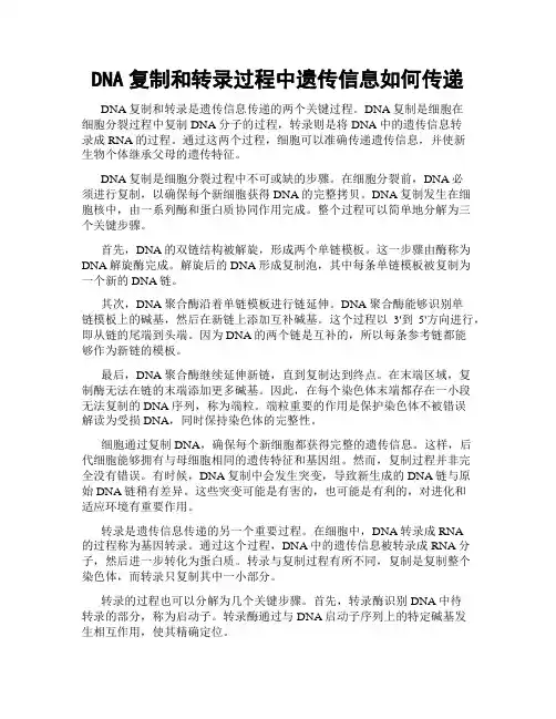 DNA复制和转录过程中遗传信息如何传递