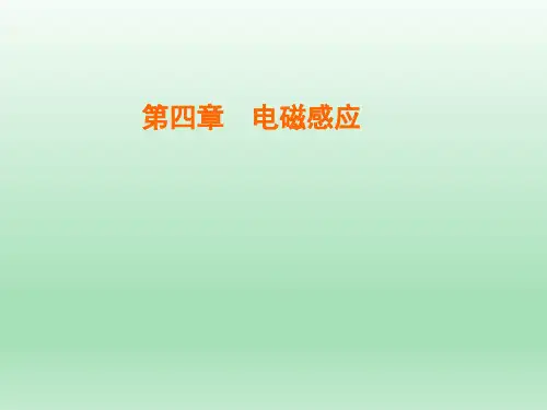 人教版选修3-2 第四章 第5节 电磁感应现象的两类情况 课件(30张)