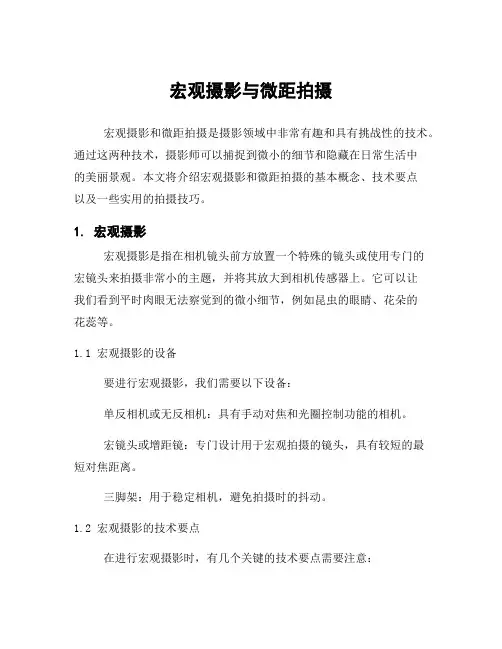 宏观摄影与微距拍摄