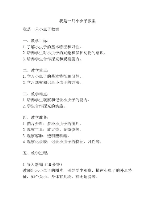 我是一只小虫子教案