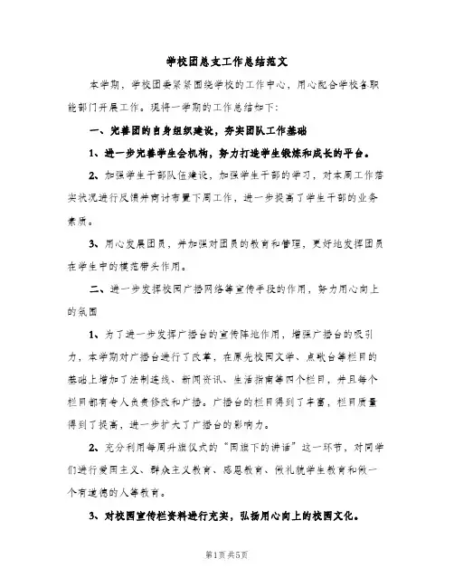 学校团总支工作总结范文（2篇）