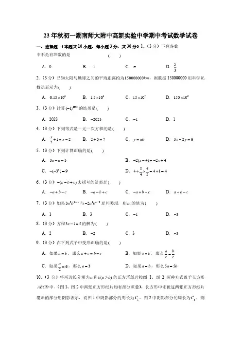 湖南省长沙市湖南师大附中高新实验中学2023-2024学年上学期七年级期中考试数学试卷