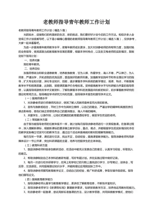 老教师指导青年教师工作计划（精选5篇）