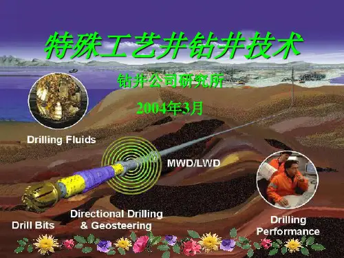 定向钻井技术(幻灯片培训材料)