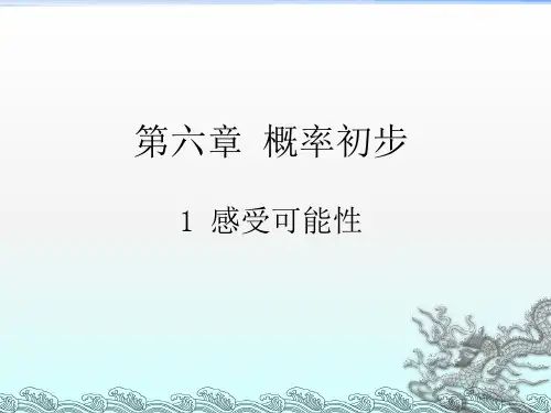 《感受可能性》PPT课件