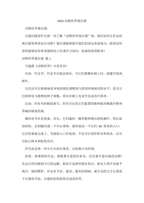 动物世界观后感