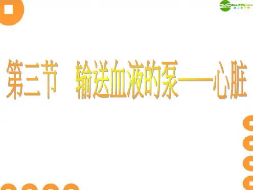 七年级生物下册_心脏课件_人教新课标版[文字可编辑]
