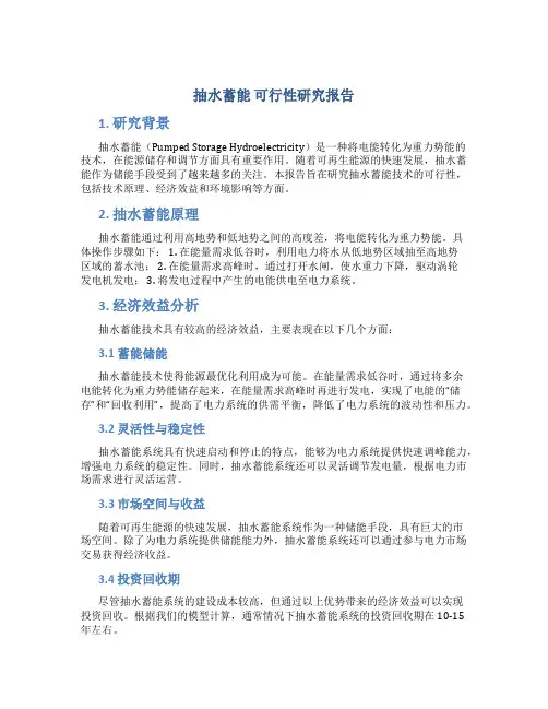 抽水蓄能 可行性研究报告
