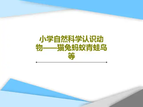 小学自然科学认识动物——猫兔蚂蚁青蛙鸟等共58页