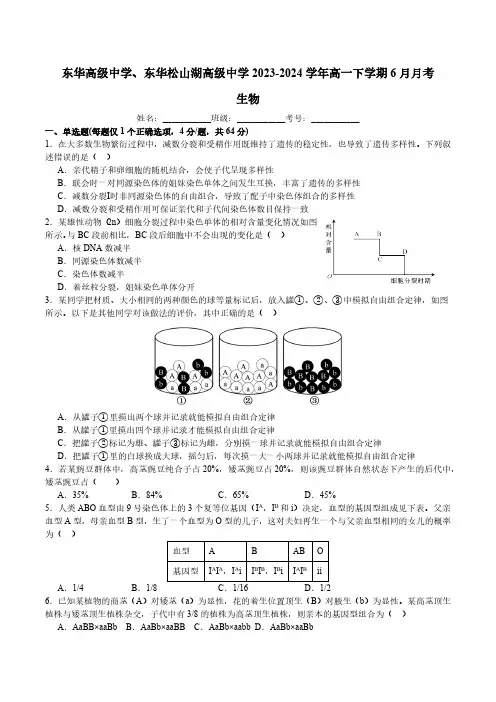 东莞市东华高级中学、东华松山湖高级中学2023-2024学年高一下学期6月月考生物学试题(含解析)