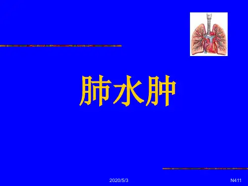 肺水肿PPT课件