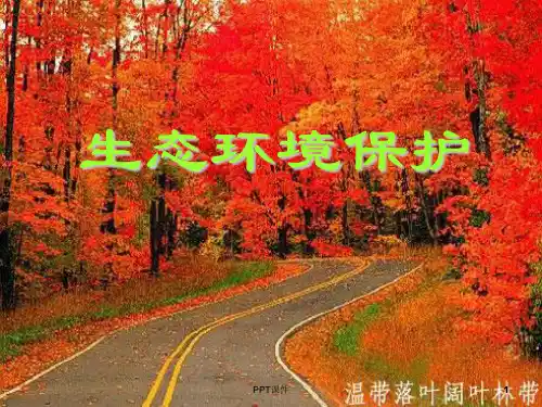 森林及其保护--课件