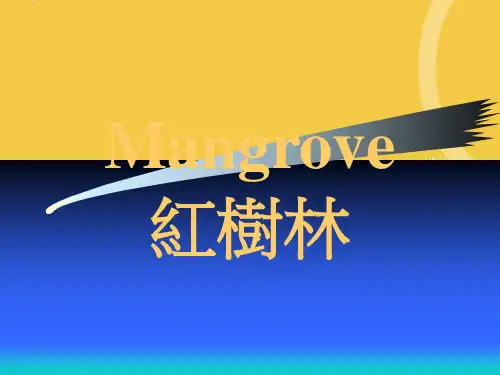 Mangrove 红树林优品ppt资料