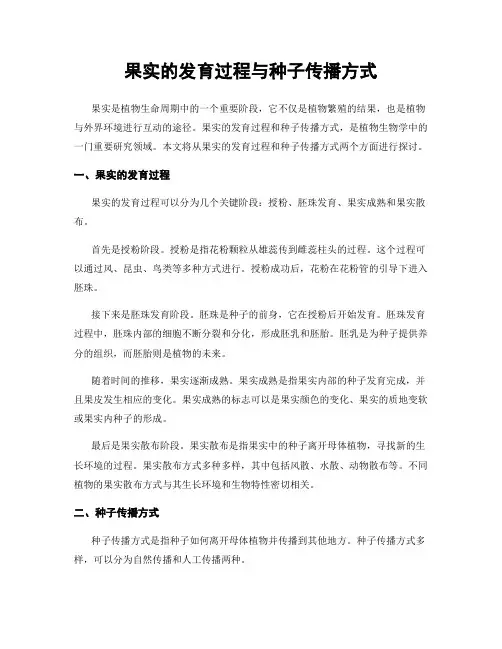 果实的发育过程与种子传播方式