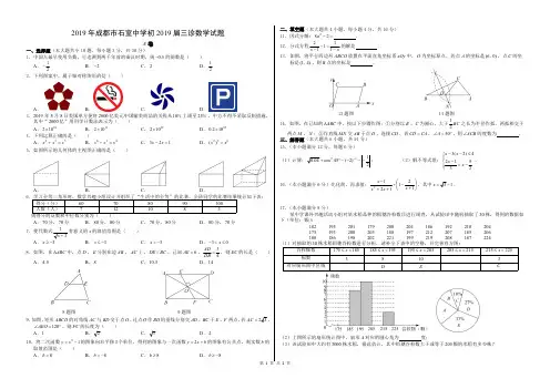2019年成都市石室中学三诊试题【A3】