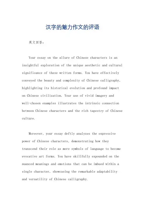 汉字的魅力作文的评语