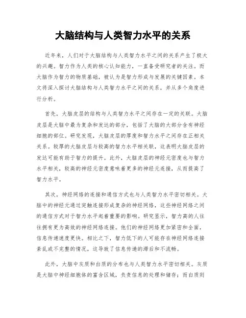 大脑结构与人类智力水平的关系