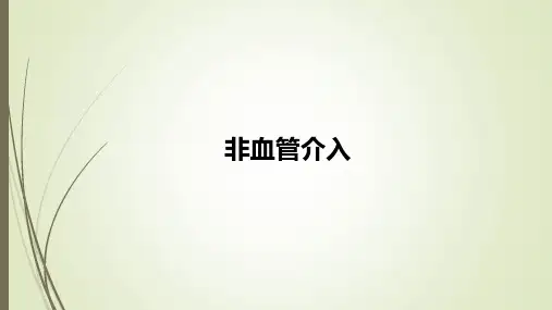 非血管介入