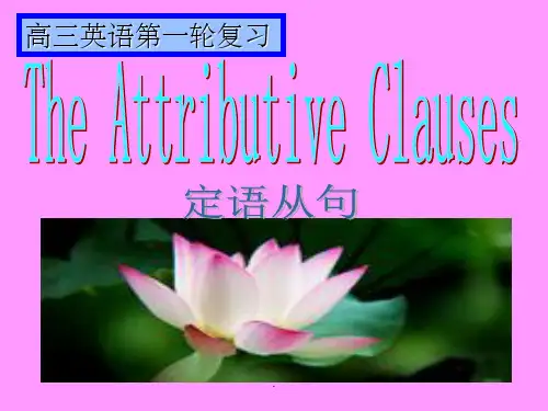 定语从句优质课完整PPT课件