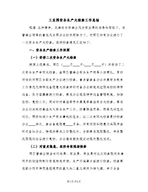 工业园安全生产大检查工作总结（2篇）