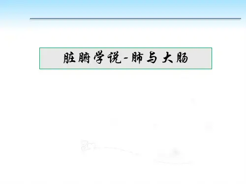 【宠物针灸技术课件】脏腑学说-肺与大肠