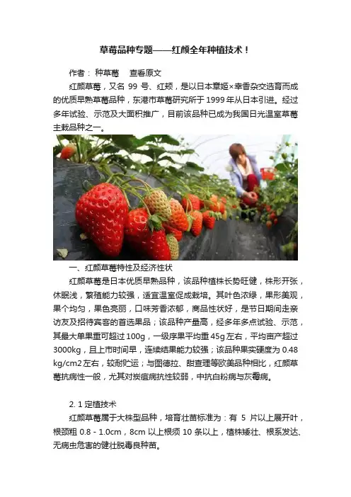 草莓品种专题——红颜全年种植技术！