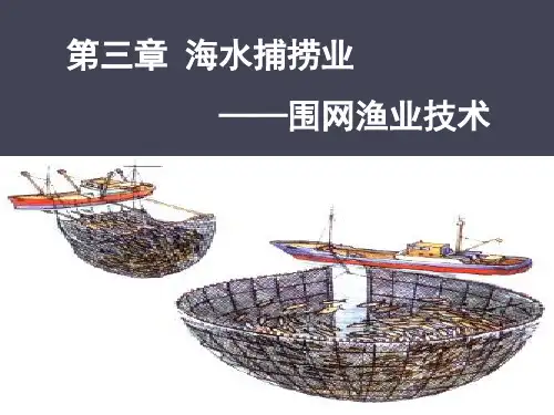 海洋捕捞业(围网)解析