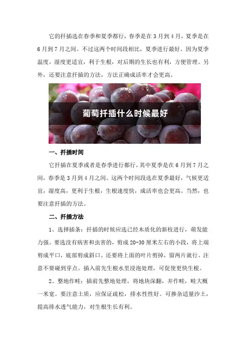 葡萄扦插什么时候最好,怎么扦插成活率高