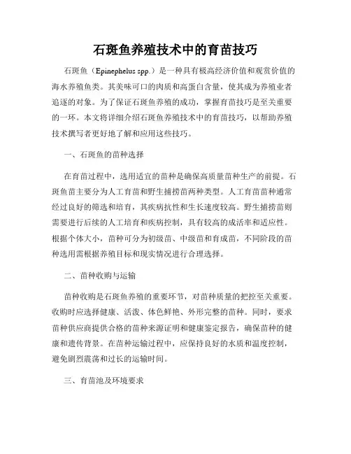石斑鱼养殖技术中的育苗技巧