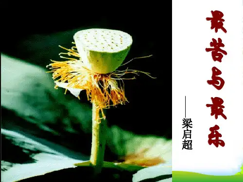 语文版语文八年级上册11.最苦与最乐课时1课件(33张)