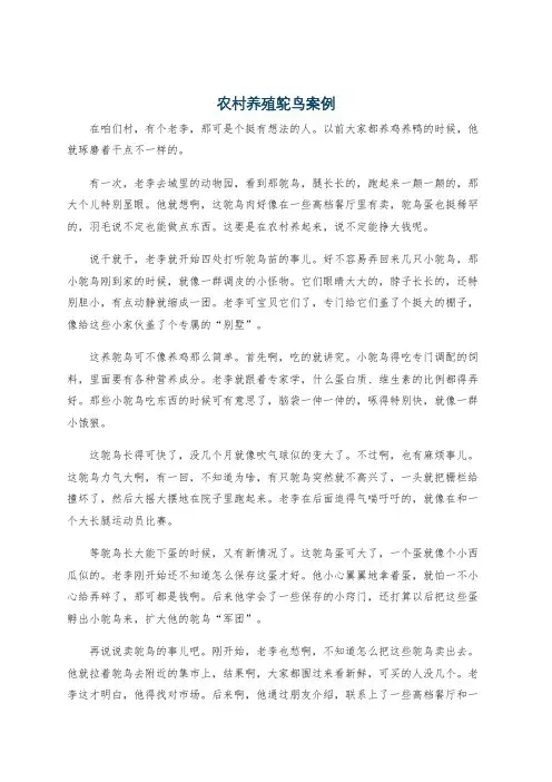 农村养殖鸵鸟案例