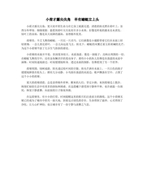 小荷才露尖尖角 早有蜻蜓立上头
