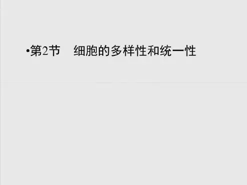 原核生物与真核生物的判断_2022年学习资料