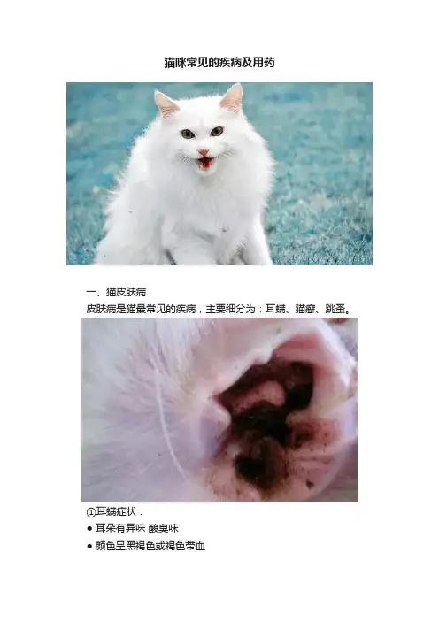 猫咪常见的疾病及用药