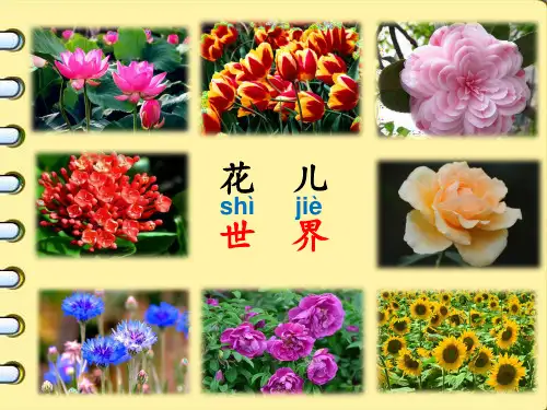 统编二上《拍手歌》完美课件1
